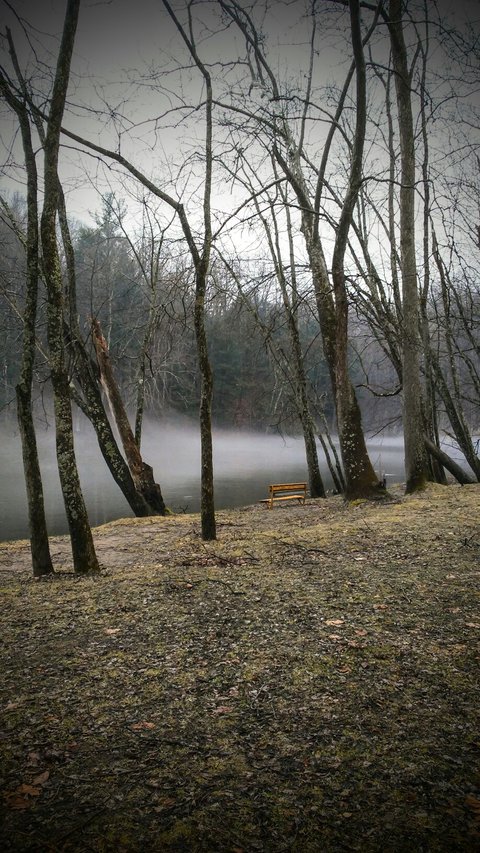 Winter Pic