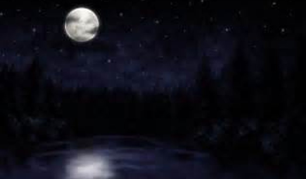 Mystery Creek is offering full moon float on a kayak on one of ours or bring your own .Full